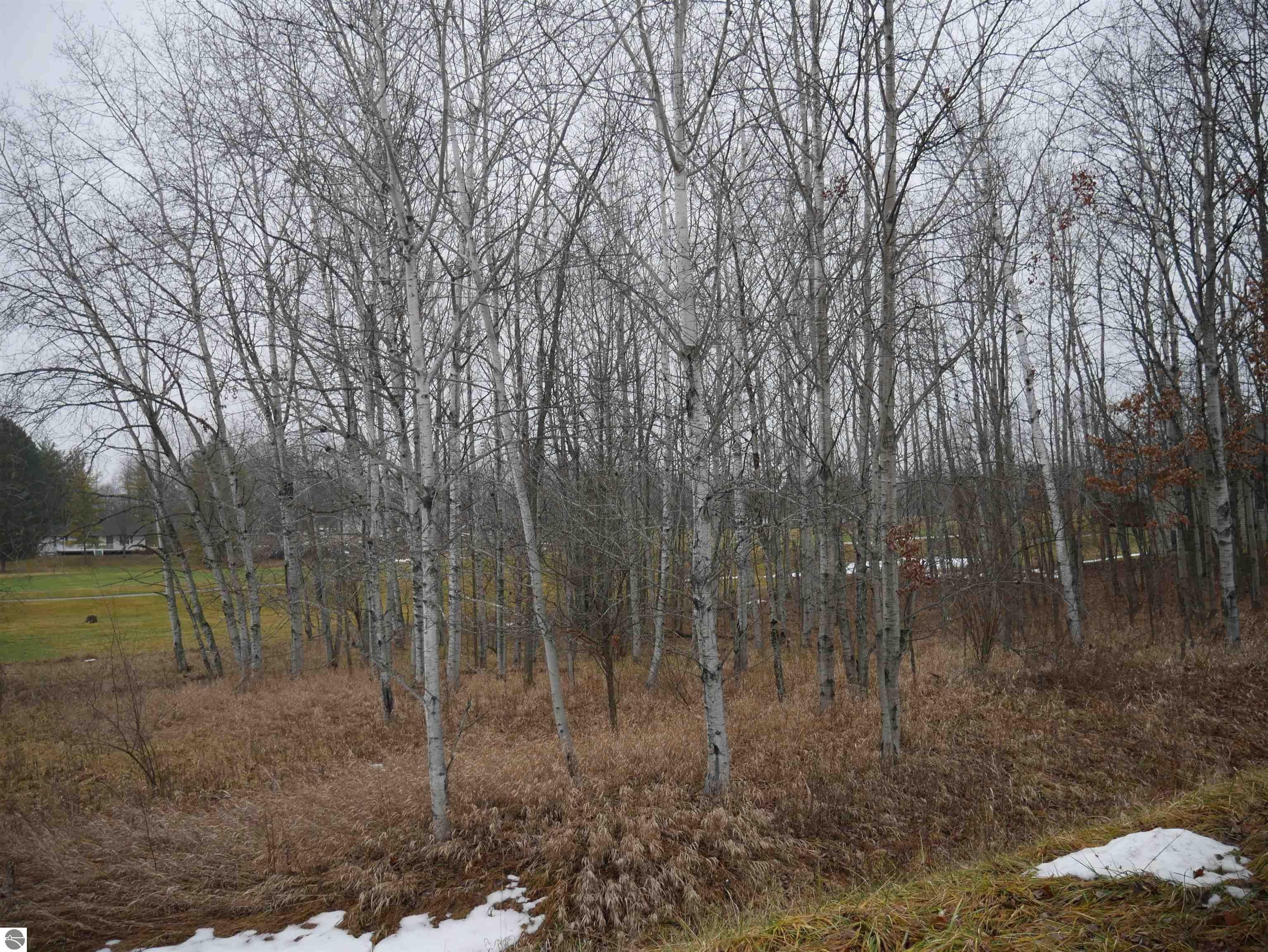 Gladwin, Gladwin County, MI Undeveloped Land, Lakefront Property