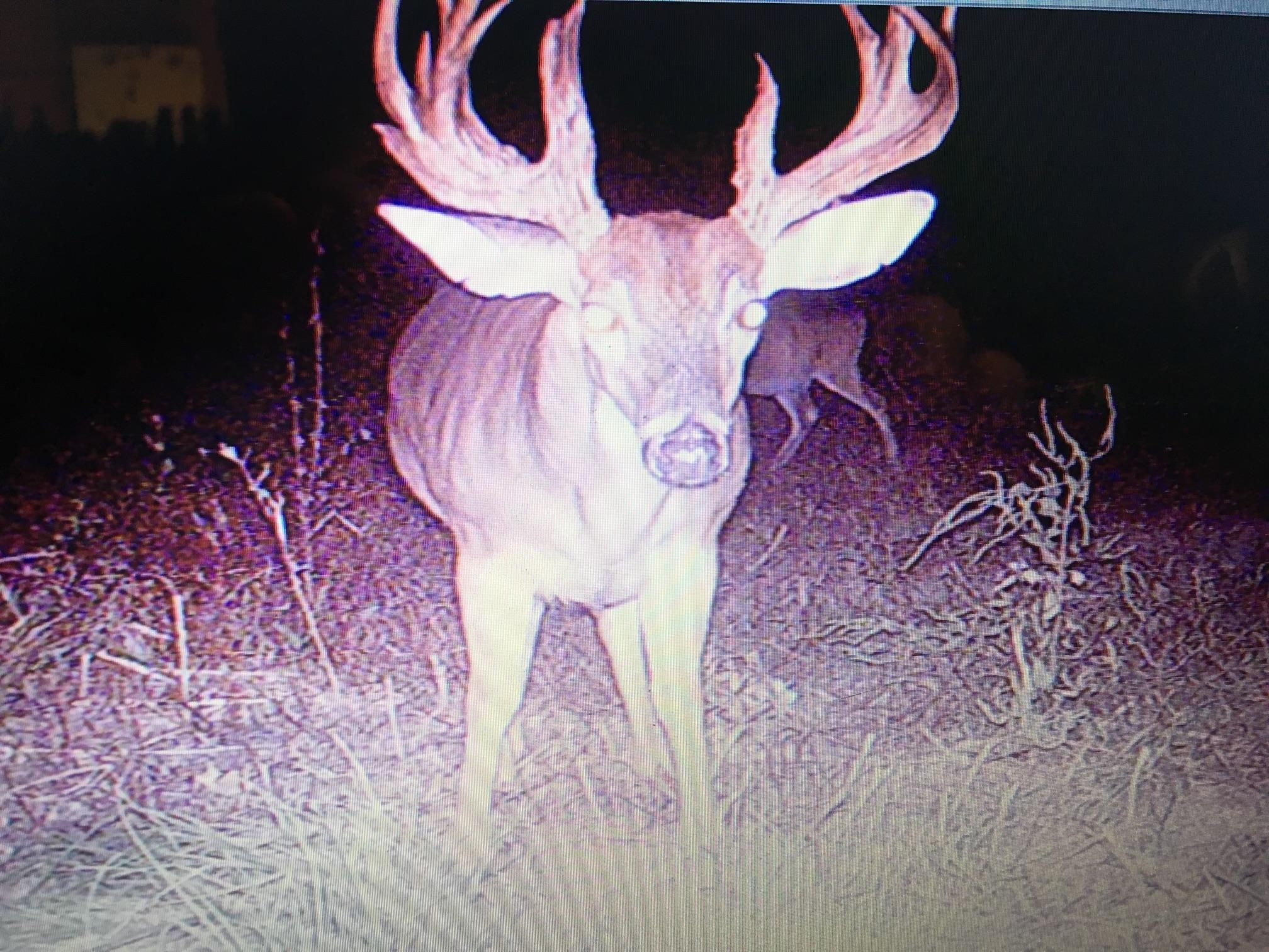 Saint Joseph, Tensas Parish, LA Recreational Property, Timberland