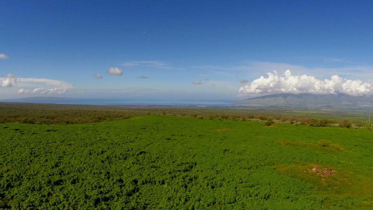 Kula, Maui County, HI Undeveloped Land for sale Property ID 415582127