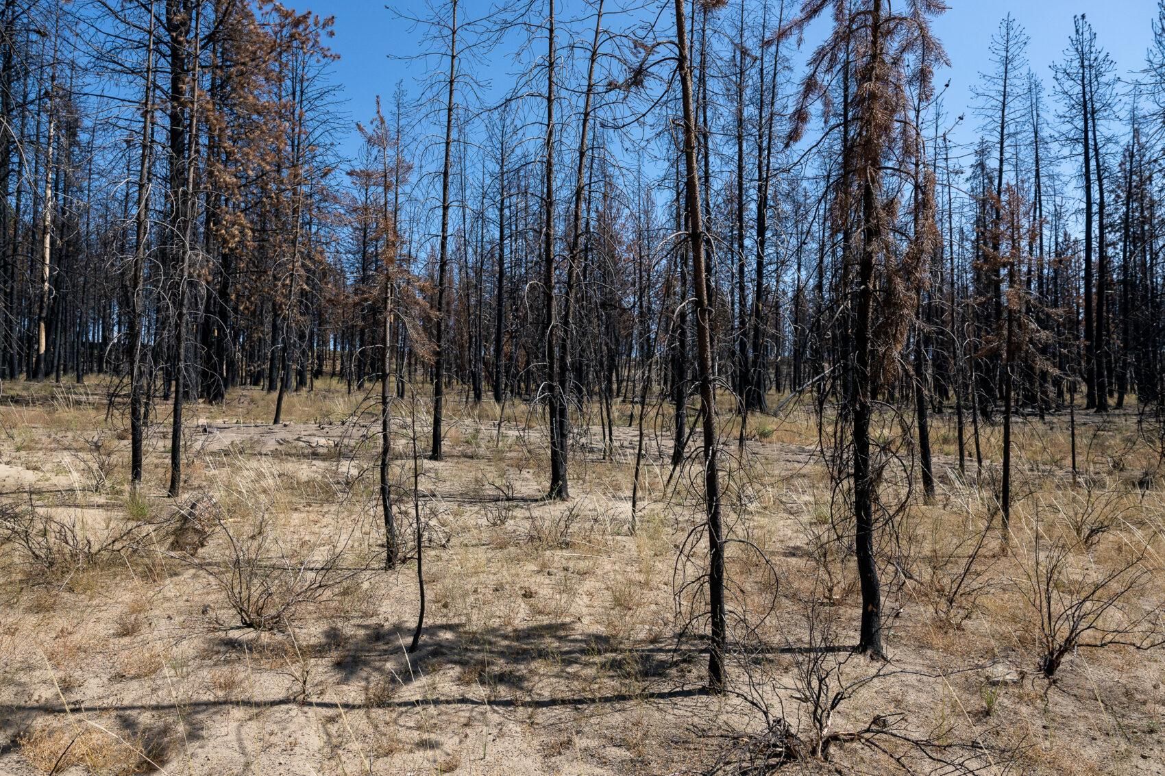 Bly, Klamath County, OR Recreational Property for sale Property ID