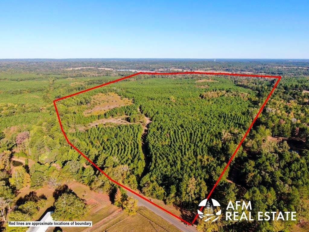 Palestine, Anderson County, TX Recreational Property, Timberland