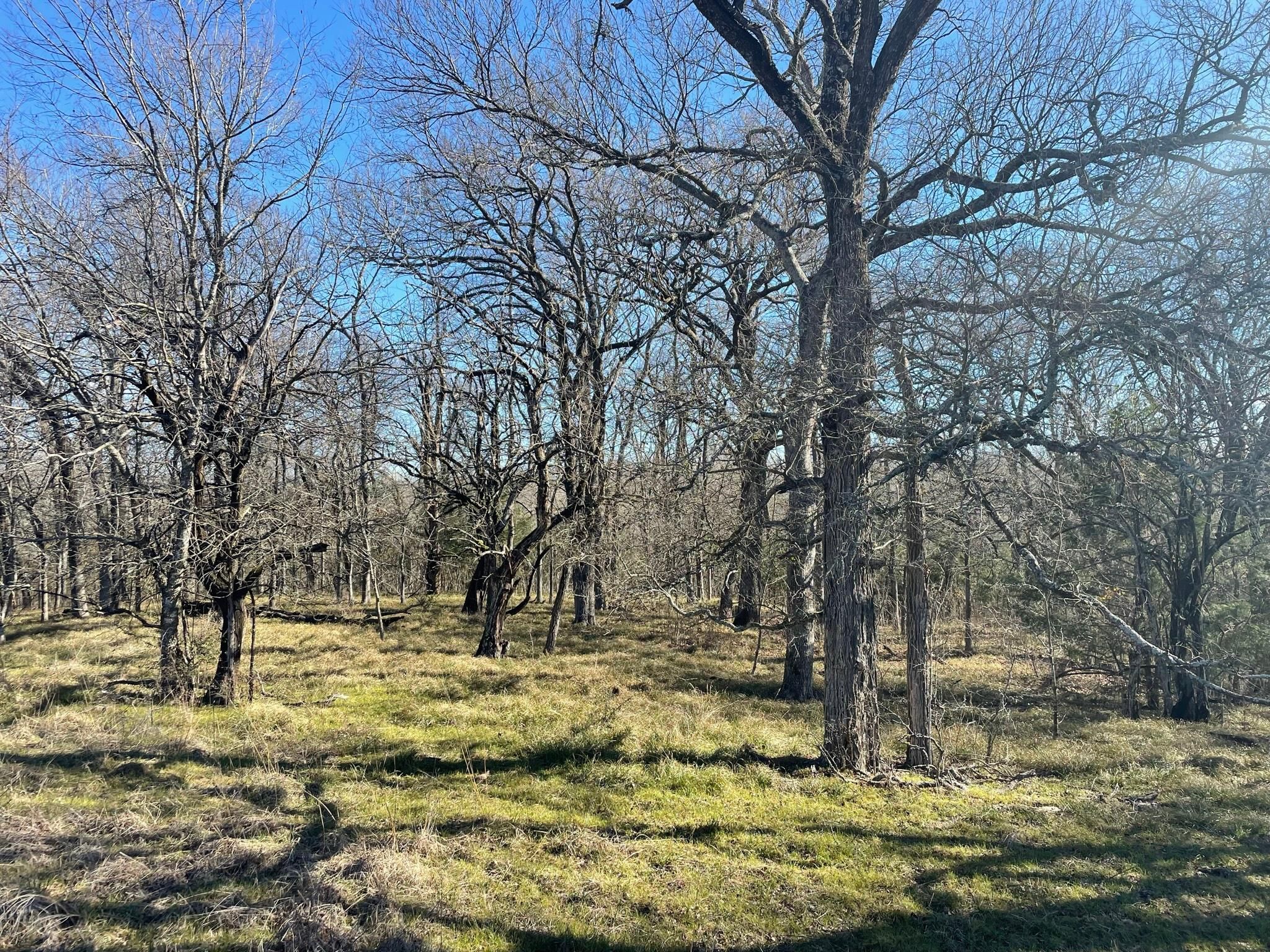 Ben Franklin, Delta County, TX Recreational Property, Hunting Property for sale Property ID