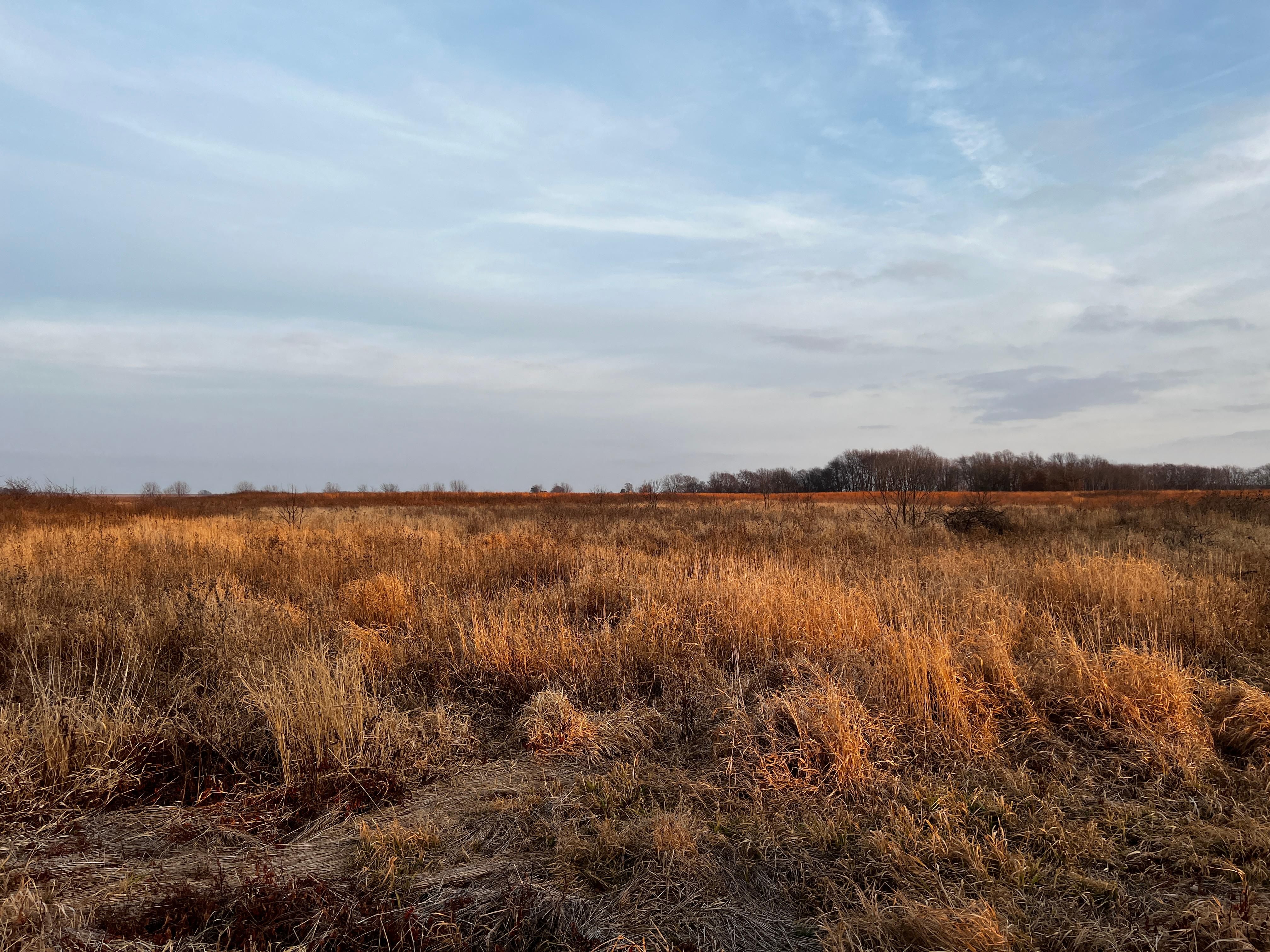 Assumption, Christian County, IL Farms and Ranches, Recreational