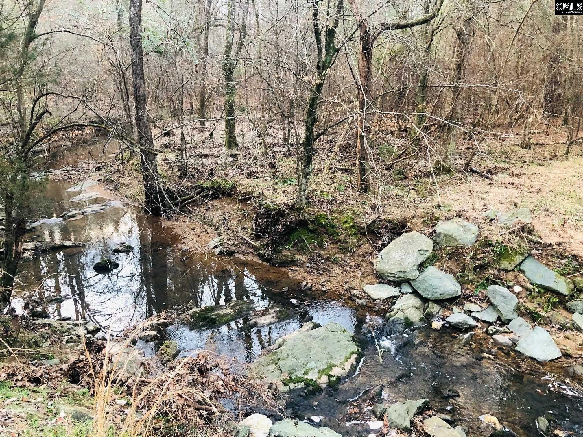 Saluda, Saluda County, SC Undeveloped Land, Lakefront Property