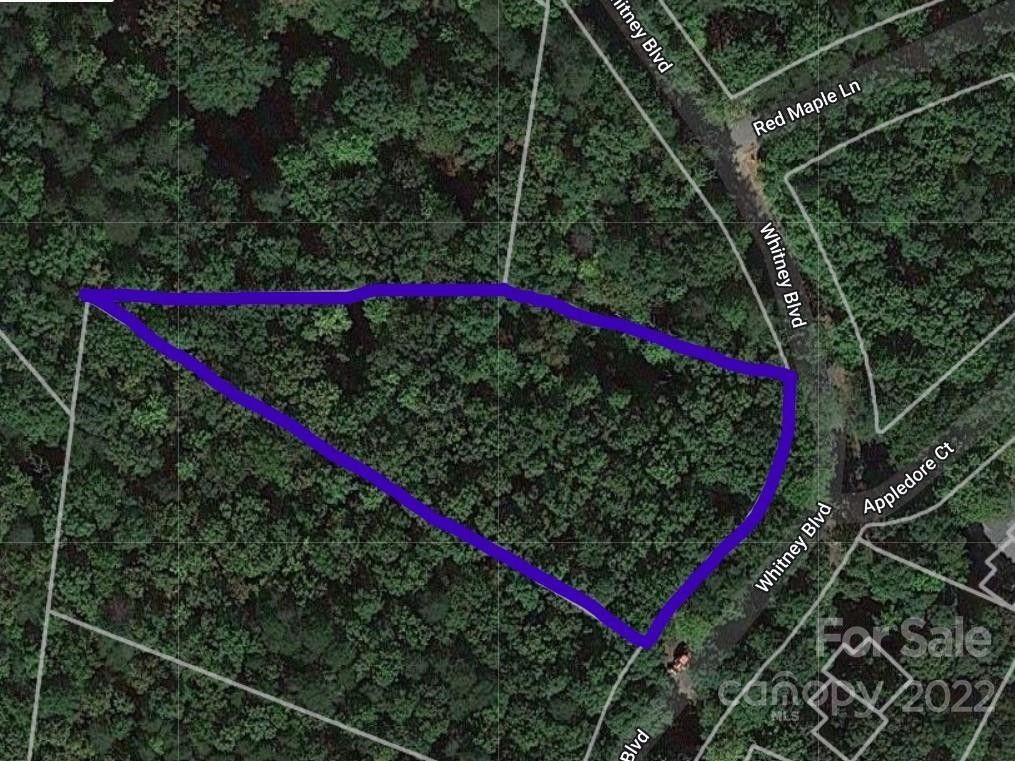 Lake Lure, Rutherford County, NC Undeveloped Land, Lakefront Property