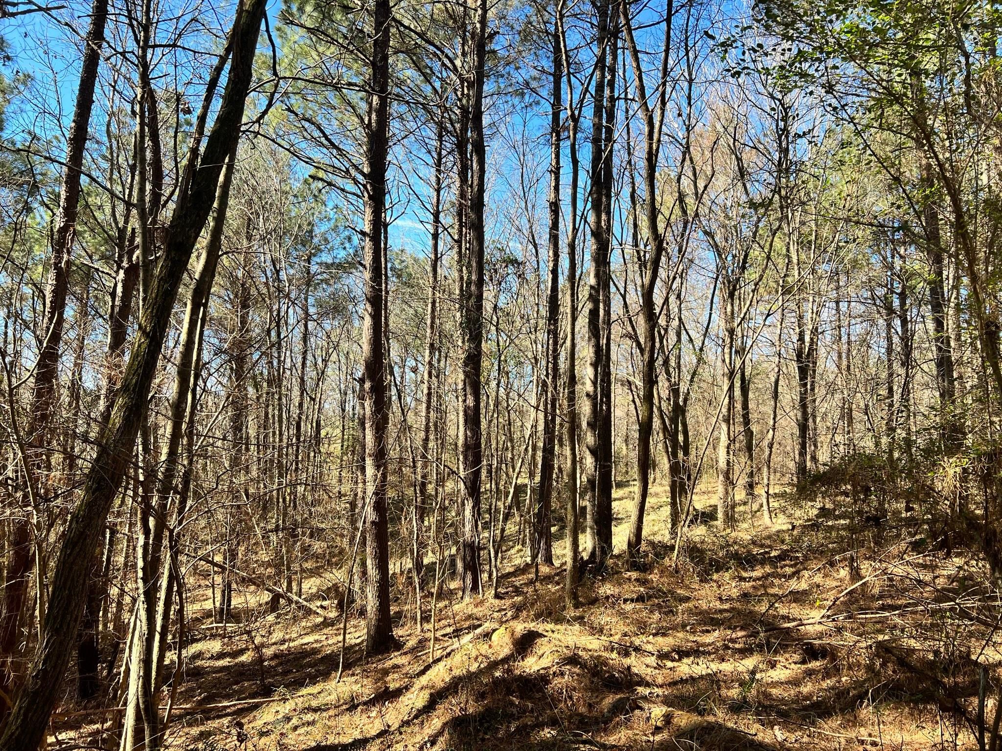 Roxie, Franklin County, MS Recreational Property, Timberland Property