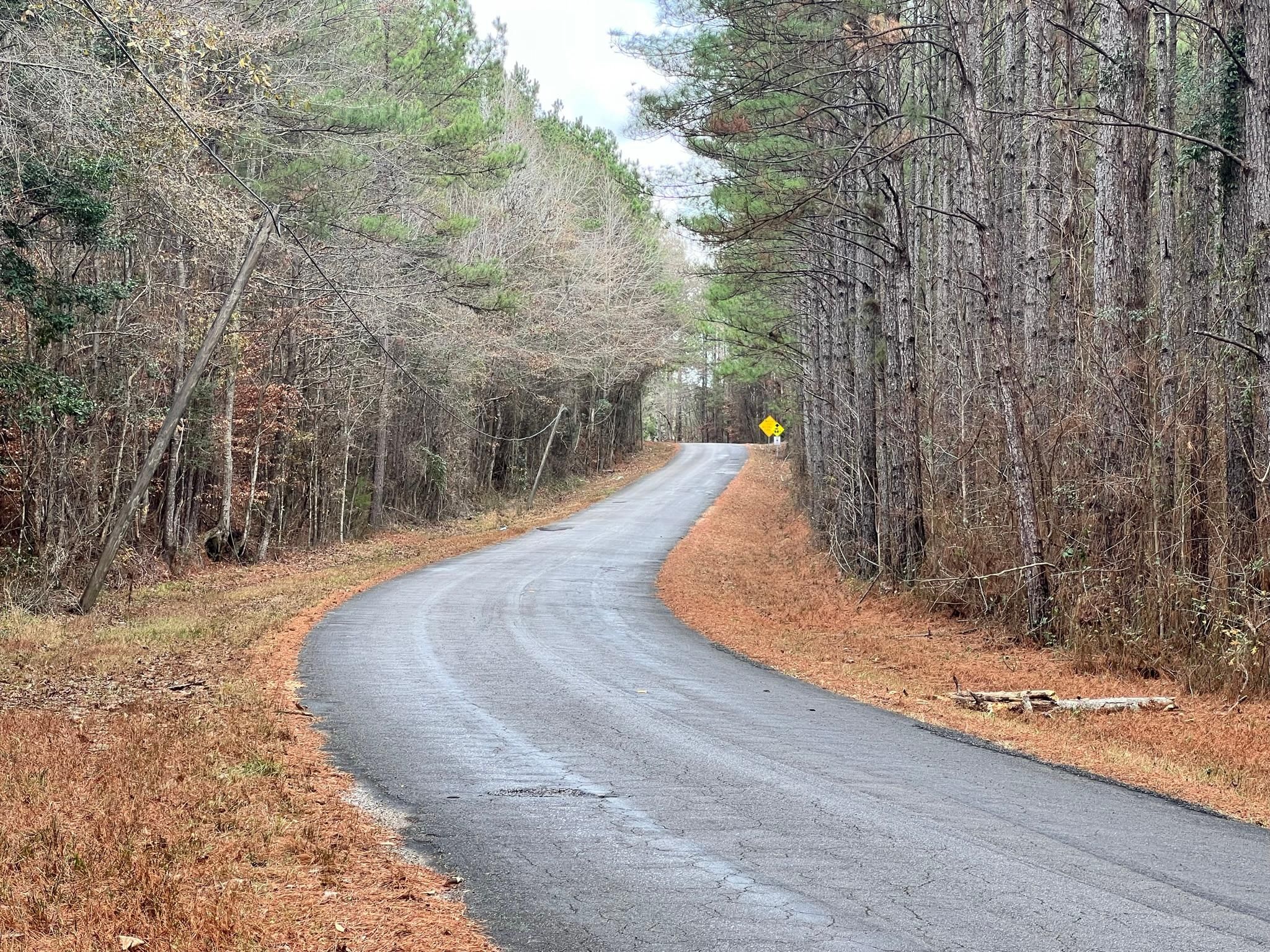 Heidelberg, Jasper County, MS Recreational Property, Timberland