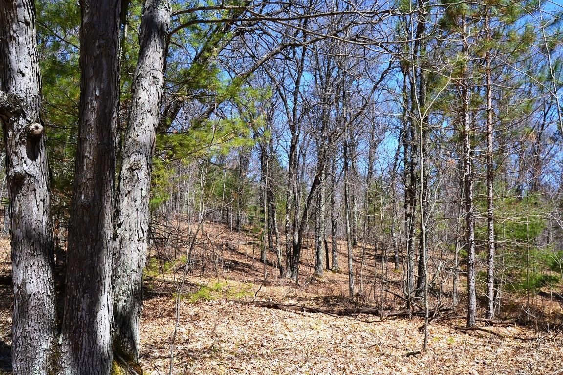 Beecher, County, WI Recreational Property, Hunting Property