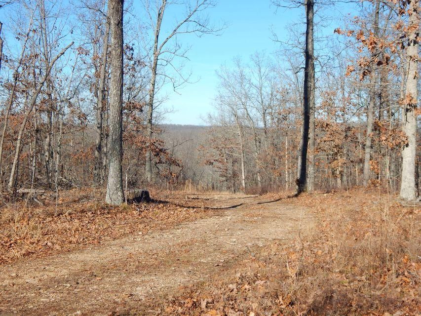 Ellington, Reynolds County, MO Timberland Property, Hunting Property