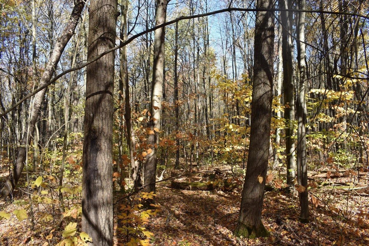 Genesee, Potter County, PA Recreational Property, Undeveloped Land