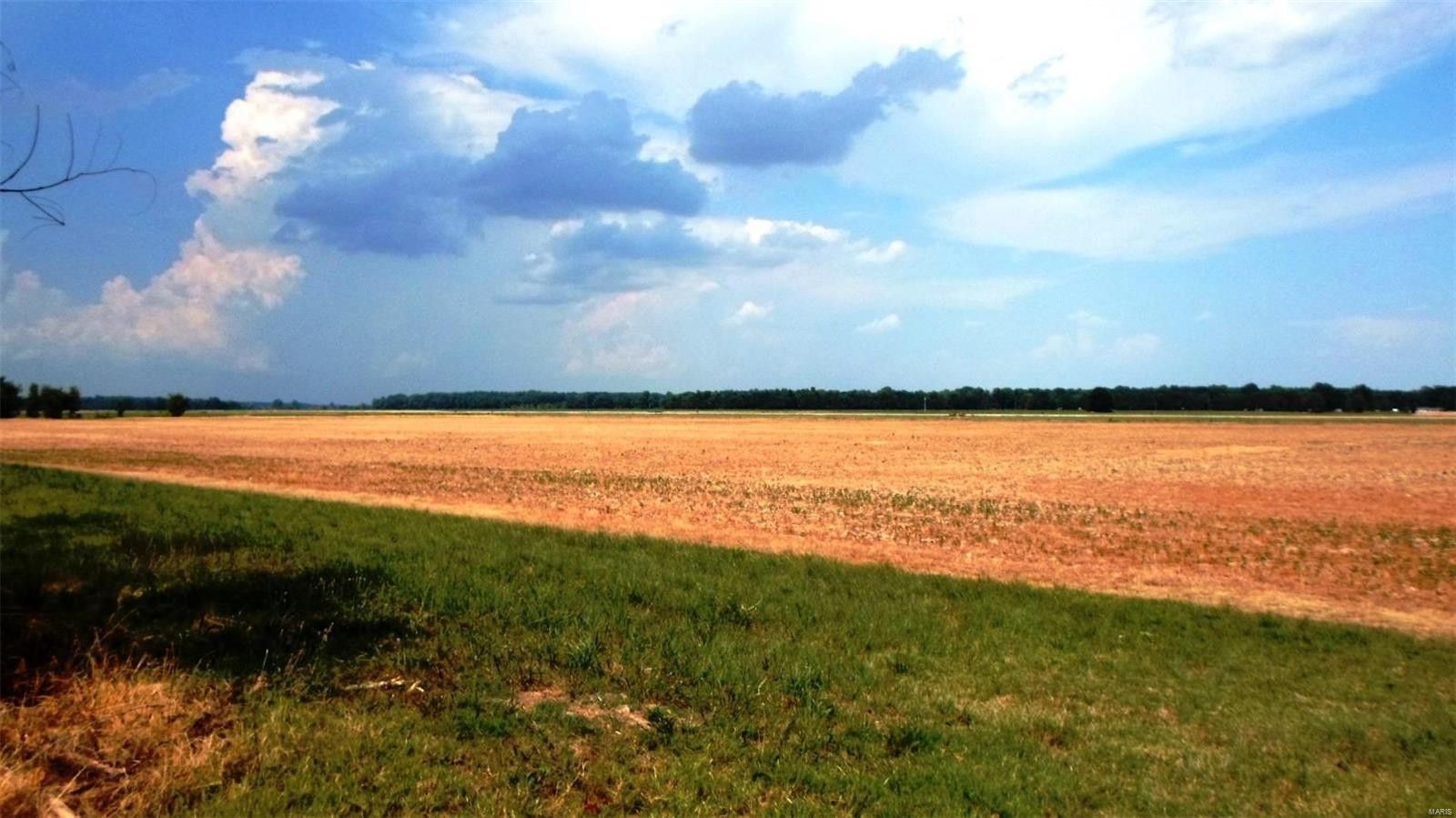 Poplar Bluff, Butler County, MO Farms and Ranches for sale Property ID