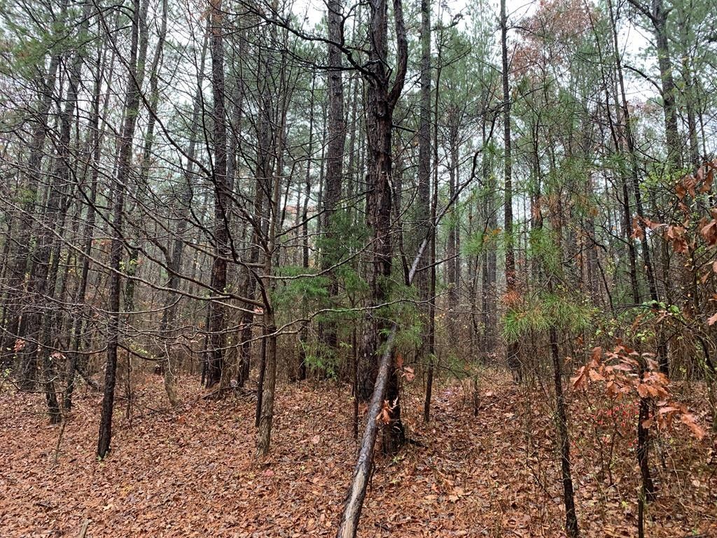 CR 442, Oxford, MS 38655 MLS 151929 LandWatch