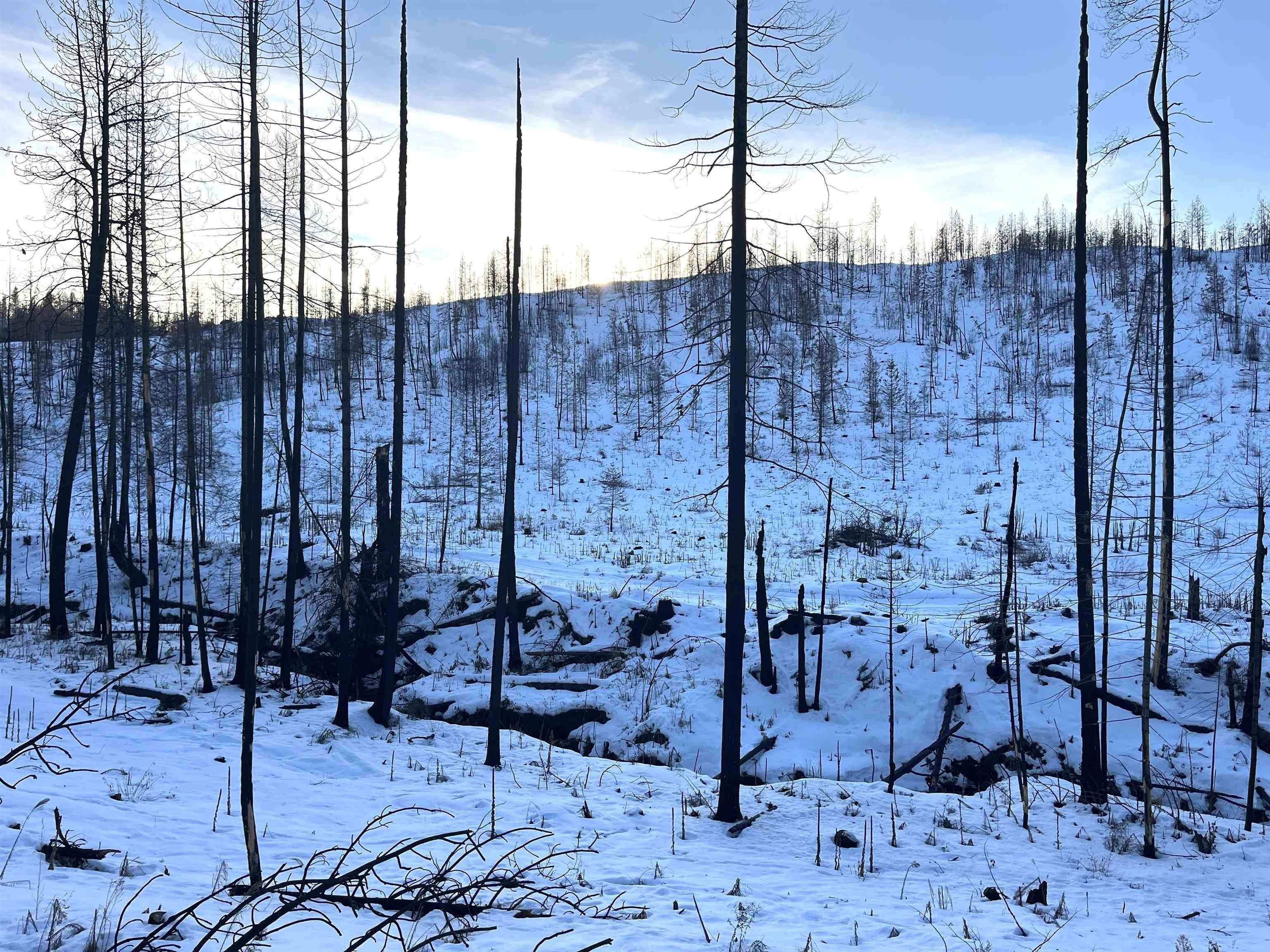 Springdale, Stevens County, WA Undeveloped Land, Lakefront Property