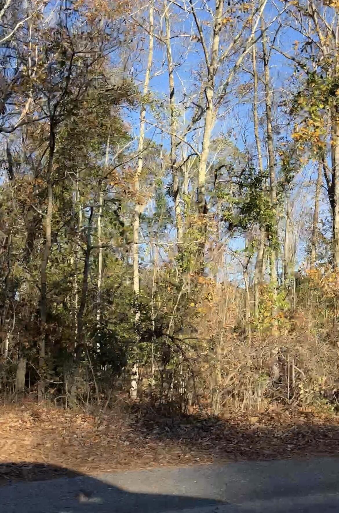 Orangeburg, Orangeburg County, SC Undeveloped Land, Homesites for sale