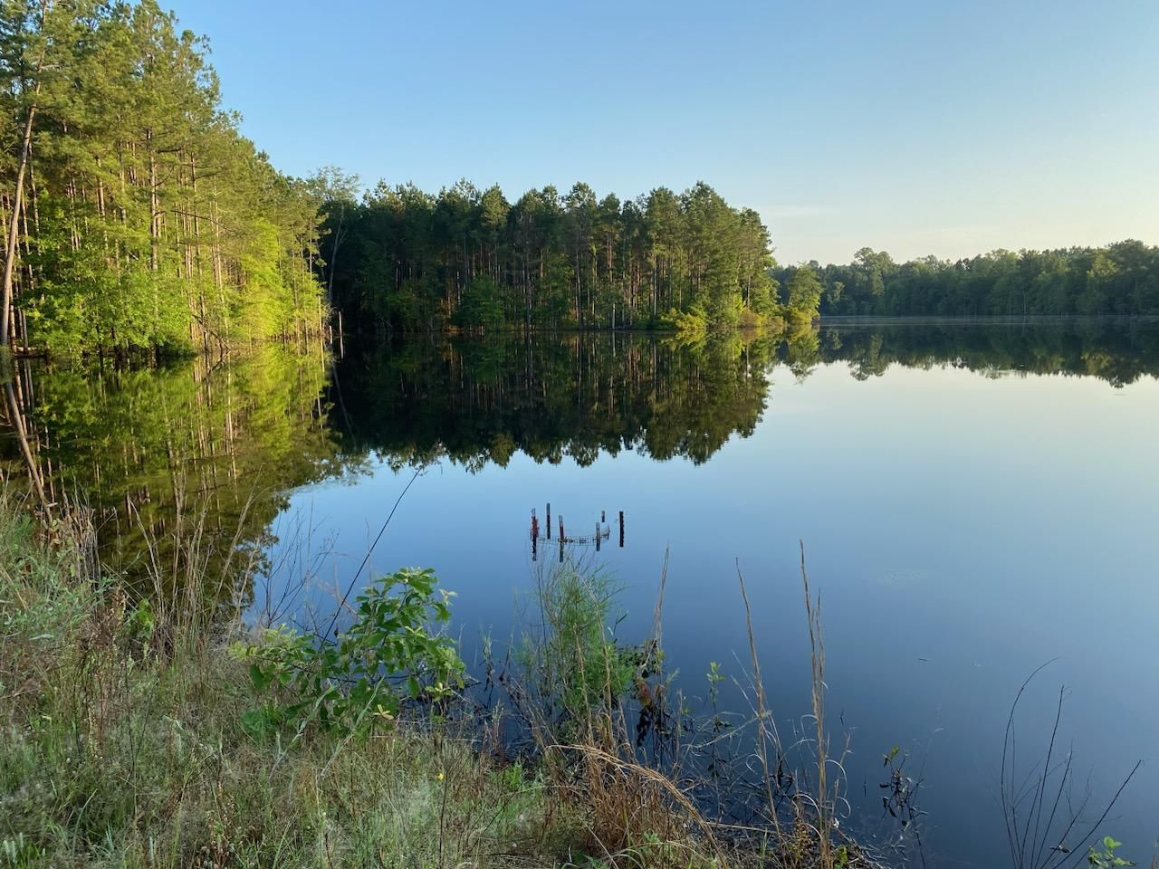 Douglassville, Cass County, TX Recreational Property, Timberland Property, Hunting Property