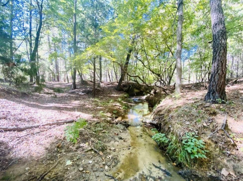 Frankston, Anderson County, TX Recreational Property, Undeveloped Land