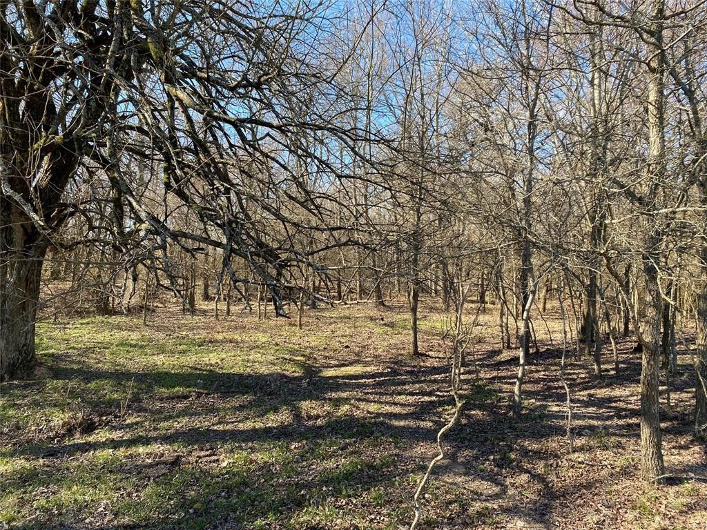 Cumby, Hopkins County, TX Undeveloped Land for sale Property ID