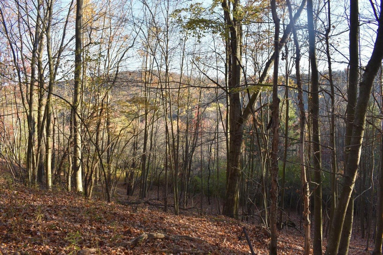 Bradford, McKean County, PA Recreational Property, Undeveloped Land