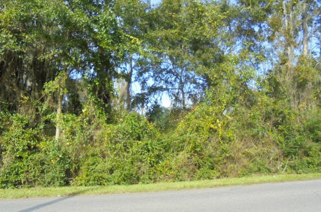 Thomasville, Thomas County, GA Undeveloped Land, Lakefront Property