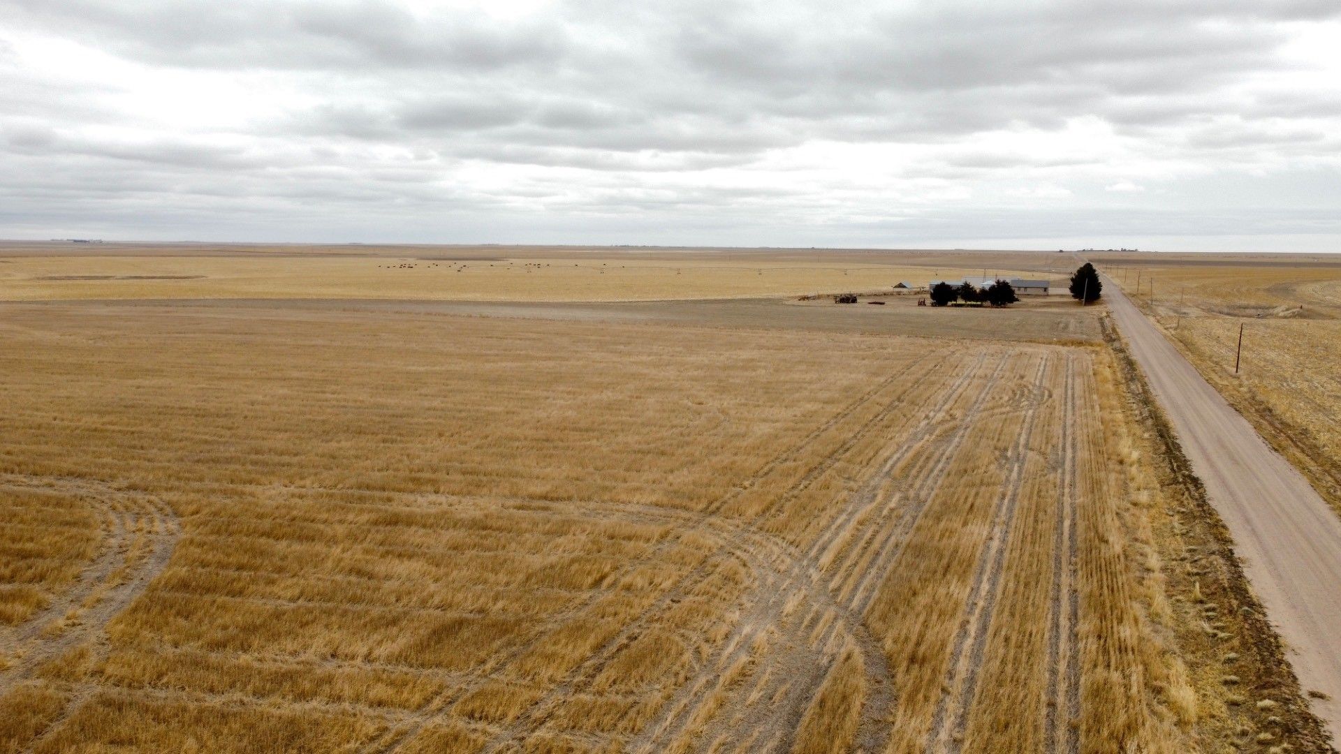 Kanorado, Sherman County, KS Undeveloped Land for sale Property ID