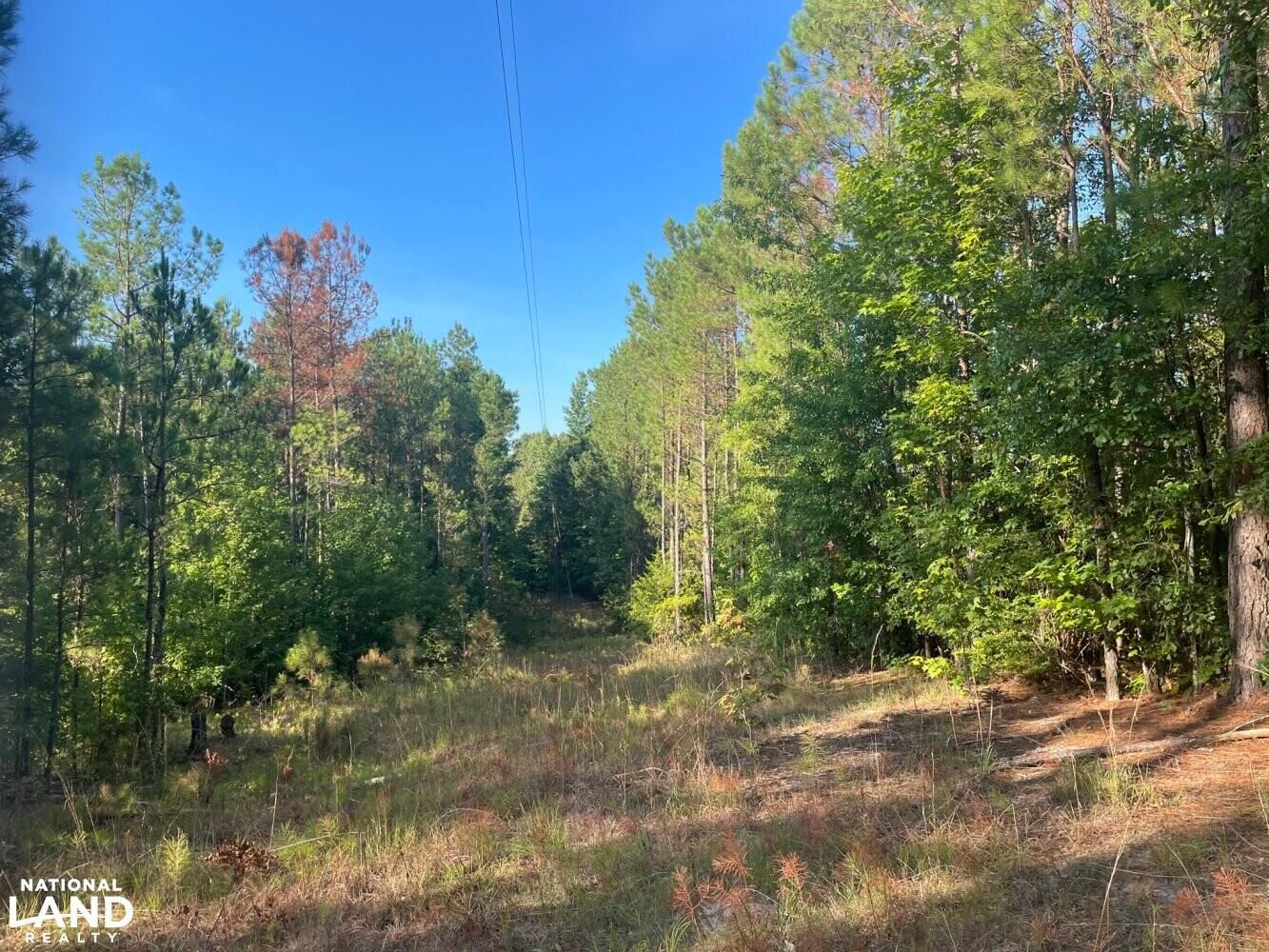 Kennedy, Fayette County, AL Recreational Property, Timberland Property