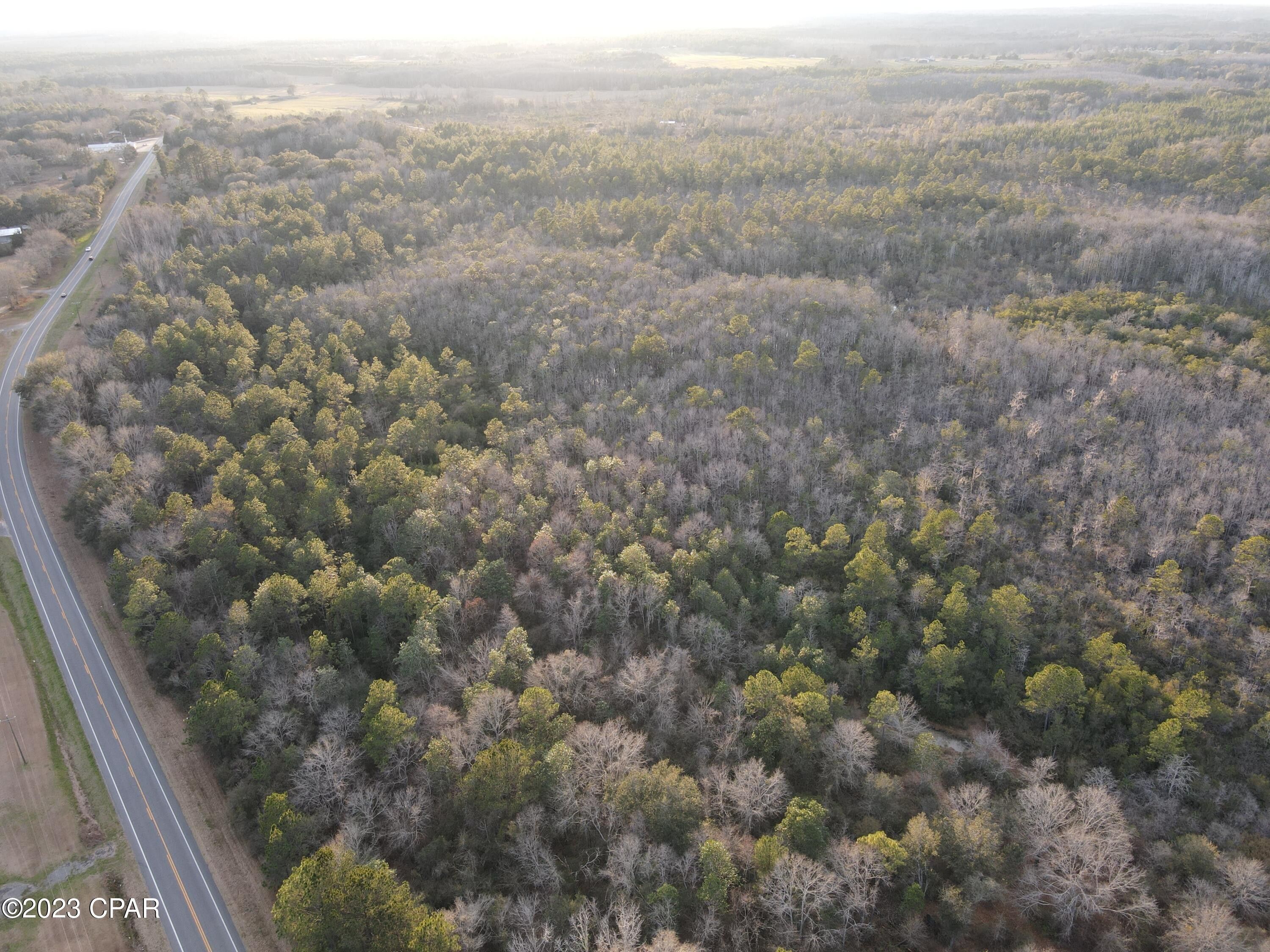 Bonifay, Holmes County, FL Undeveloped Land for sale Property ID