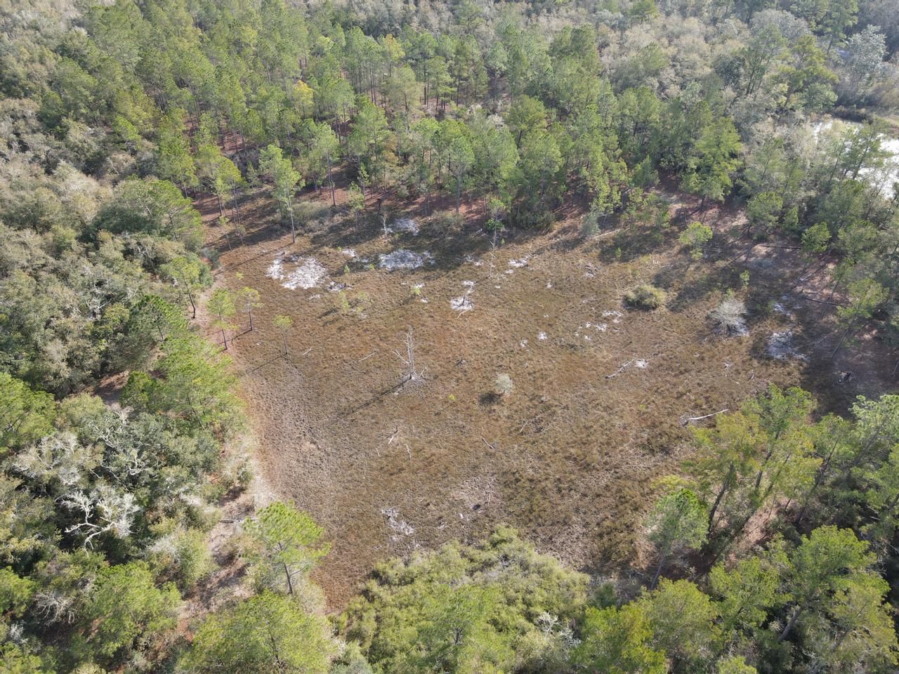 Greenville, Taylor County, FL Recreational Property, Undeveloped Land