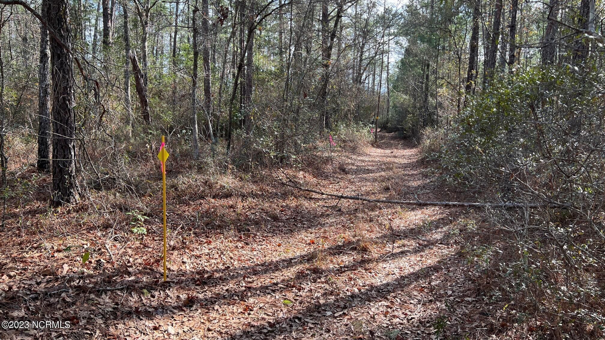 Leland, Brunswick County, NC Farms and Ranches, Homesites for sale