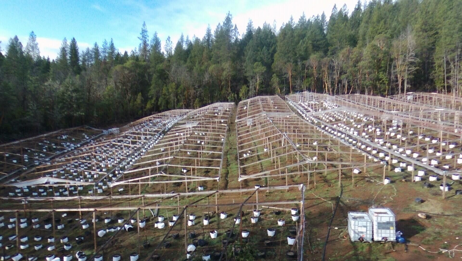 Rogue River, Jackson County, OR Farms and Ranches for sale Property ID 415604470 LandWatch