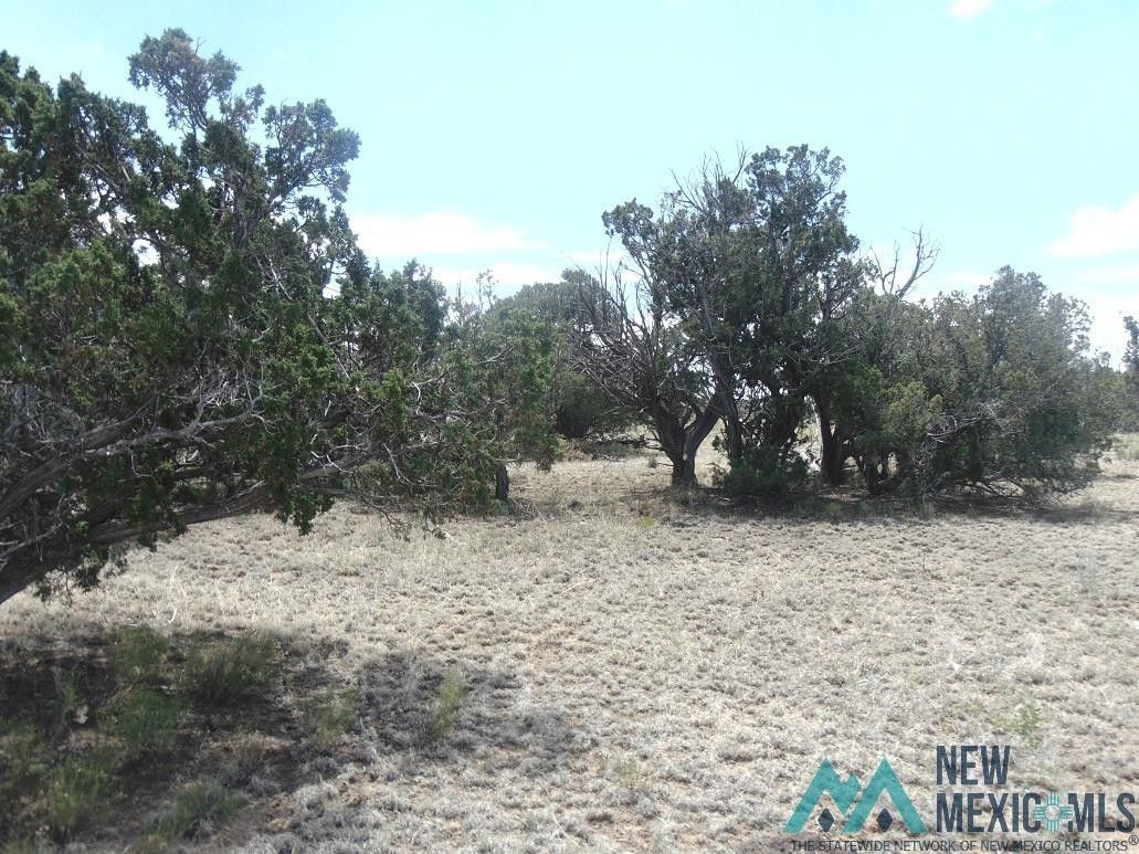 Fence Lake, Cibola County, NM Recreational Property, Undeveloped Land for sale Property ID