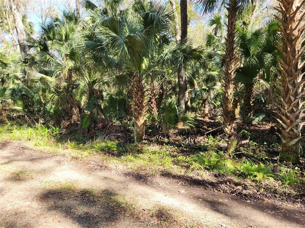 Deltona, Volusia County, FL Undeveloped Land, Homesites for sale