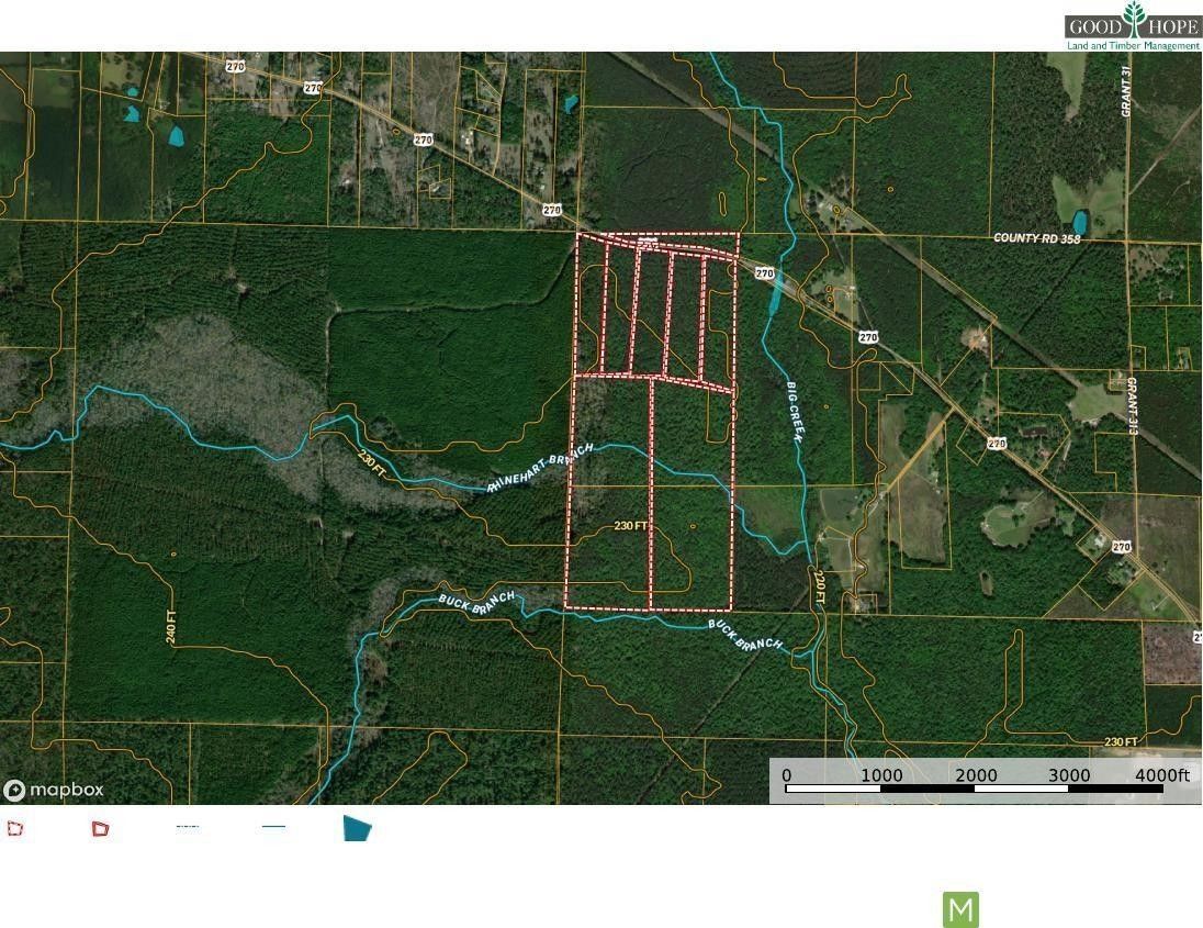 Poyen, Grant County, AR Undeveloped Land for sale Property ID 415607373 LandWatch
