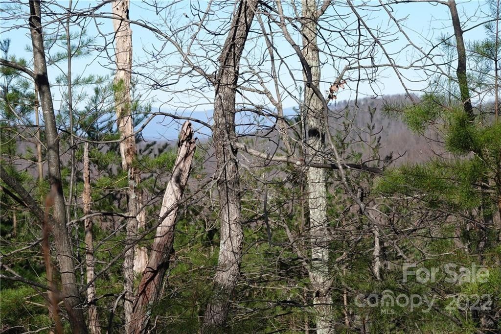 Bostic, Rutherford County, NC Farms and Ranches, Homesites for sale