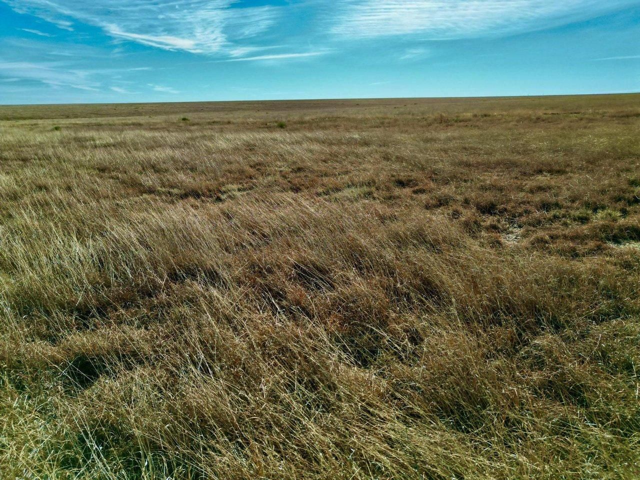 Lamar, Prowers County, CO Farms and Ranches, Hunting Property for sale