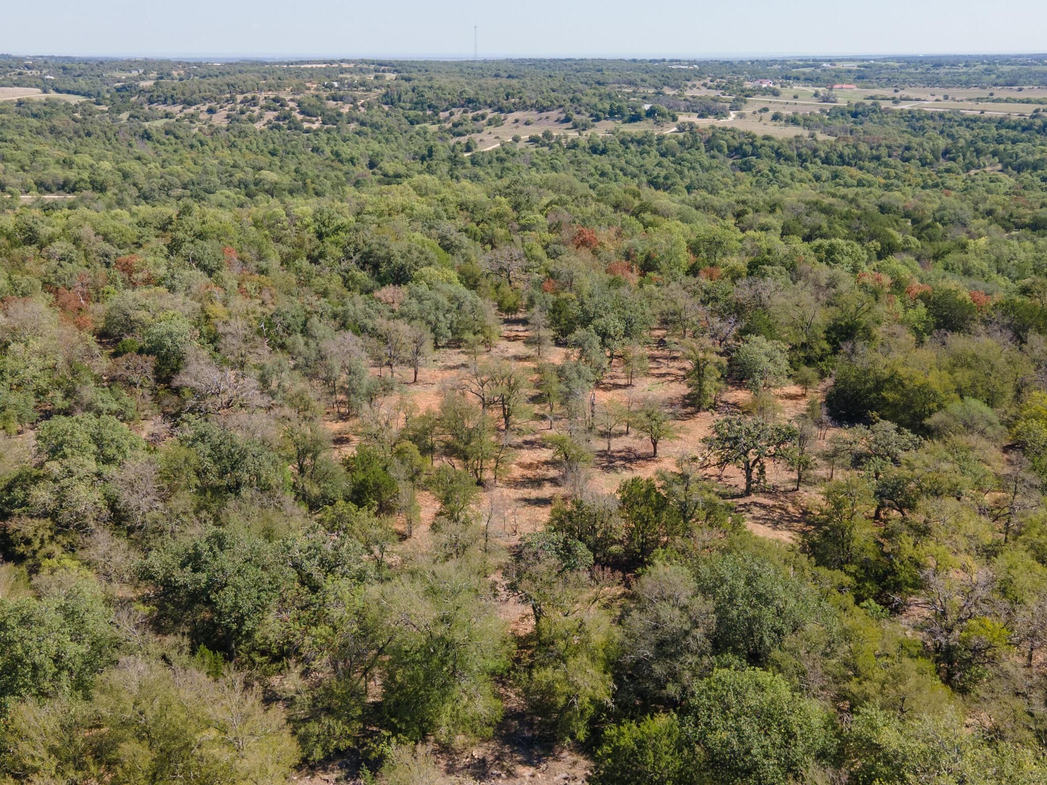 Stephenville, Erath County, TX Farms and Ranches, Hunting Property for