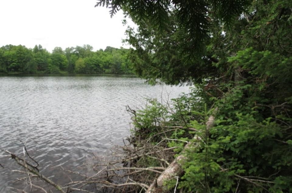 Park Falls, Price County, WI Undeveloped Land, Lakefront Property