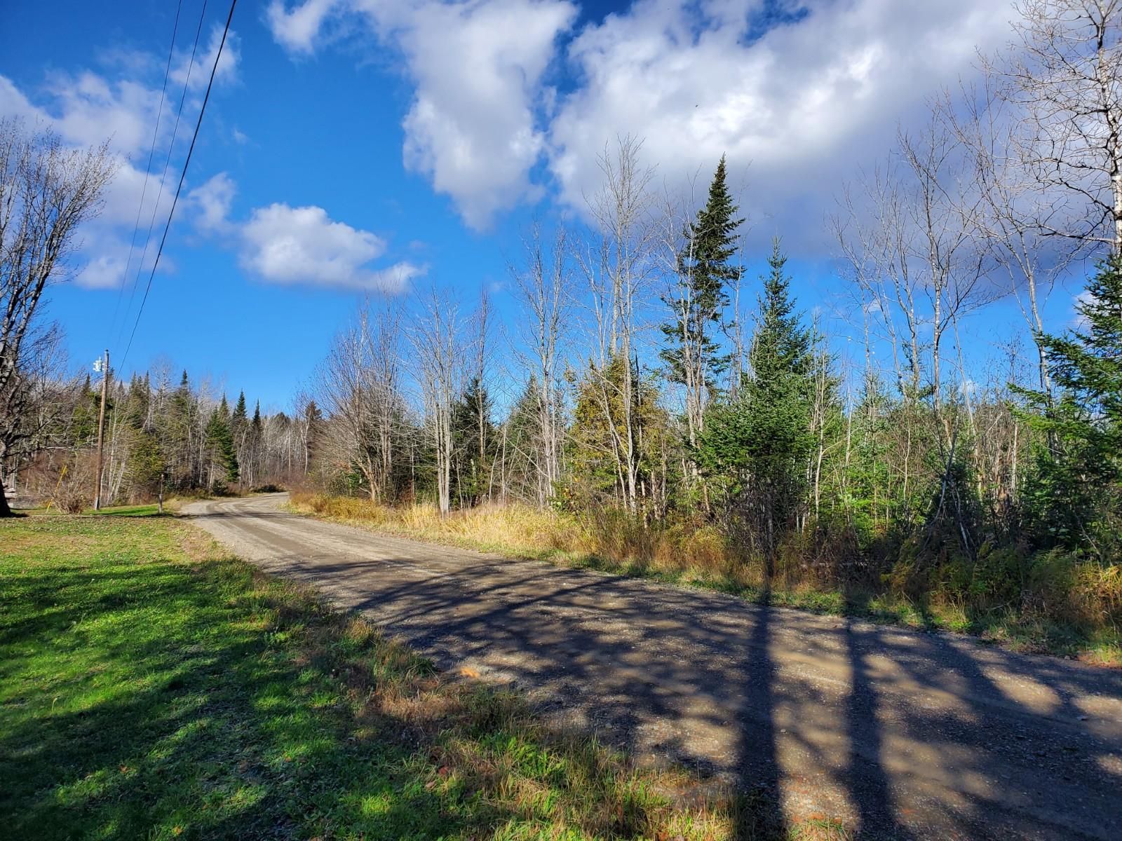 Oakfield, Aroostook County, ME Undeveloped Land for sale Property ID