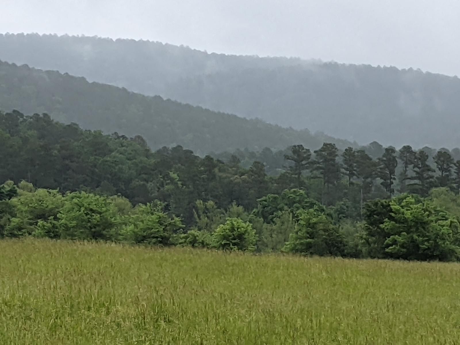 Waldron, Scott County, AR Farms and Ranches for sale Property ID