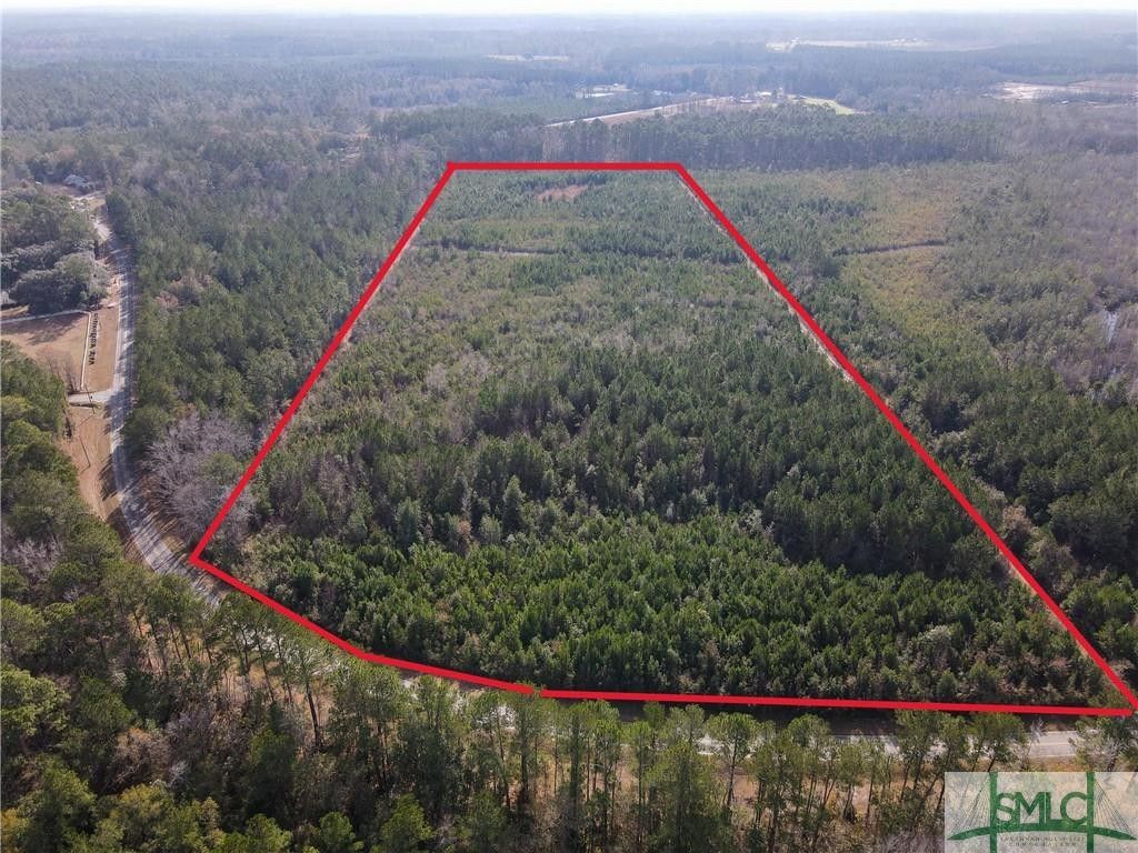 Clyo, Effingham County, GA Undeveloped Land for sale Property ID
