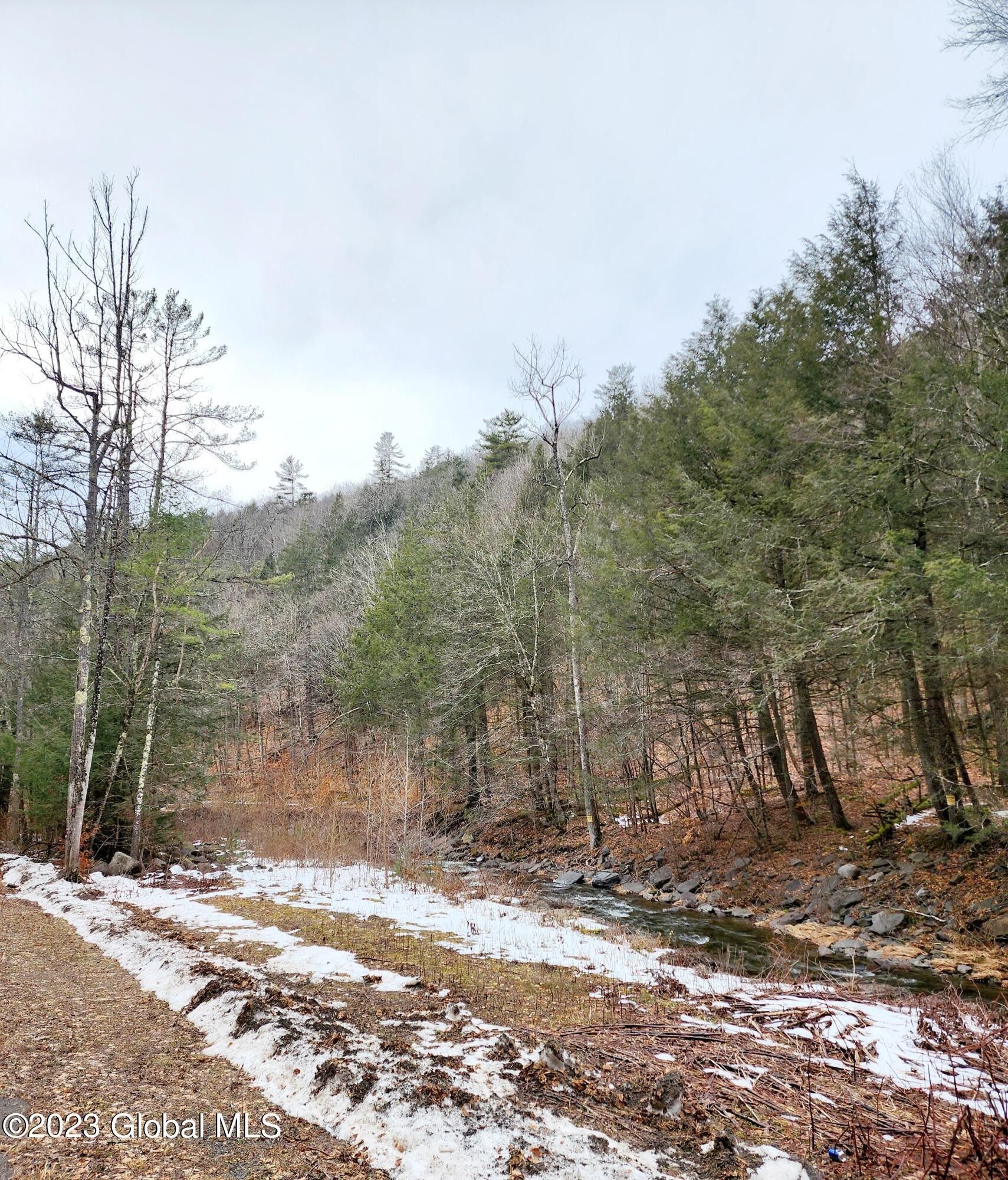 Breakabeen, Schoharie County, NY Undeveloped Land, Lakefront Property
