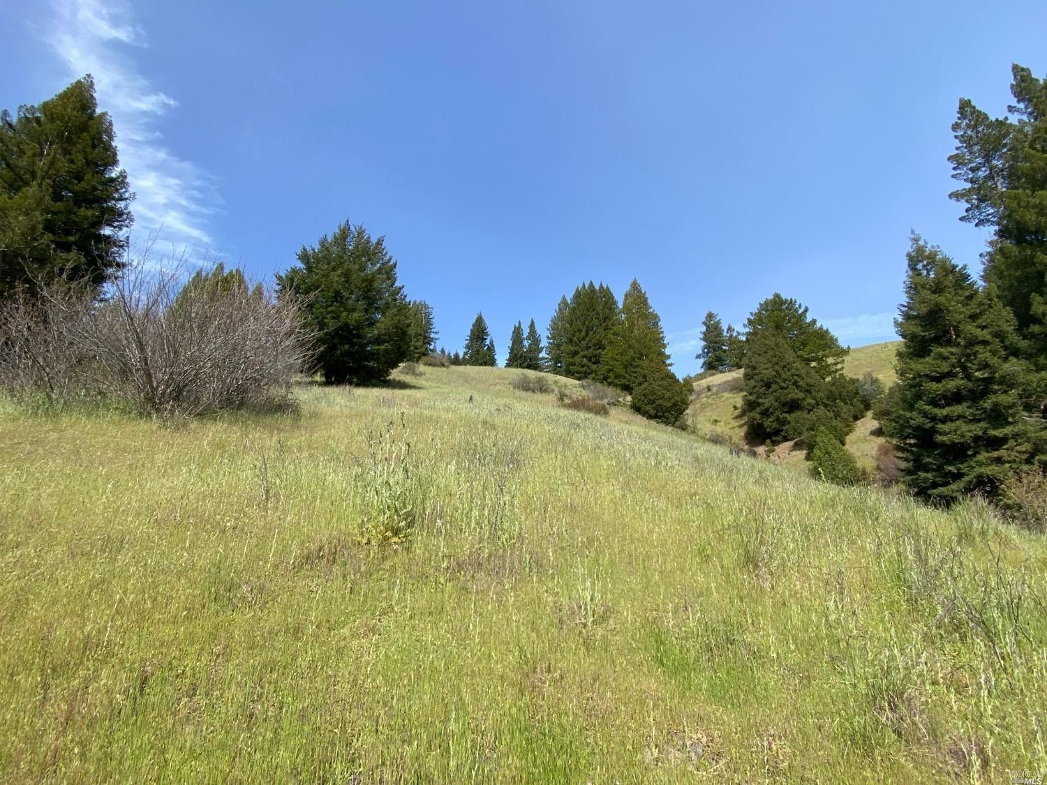 Navarro, Mendocino County, CA Farms and Ranches, Recreational Property