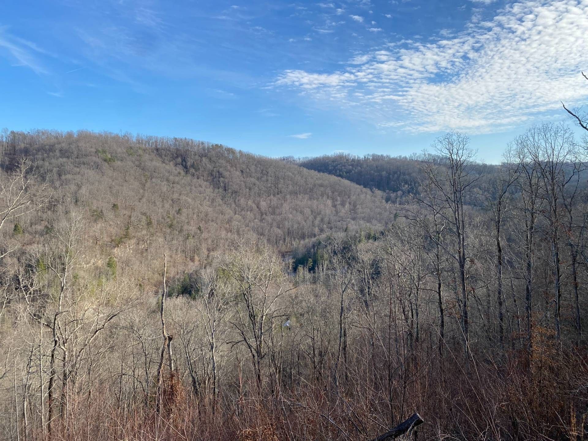 Crawford, Overton County, TN Lakefront Property, Waterfront Property