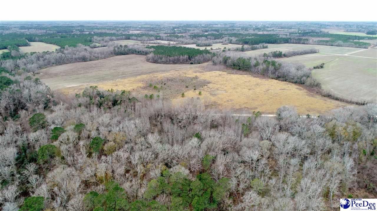 Clio, Marlboro County, SC Farms and Ranches for sale Property ID