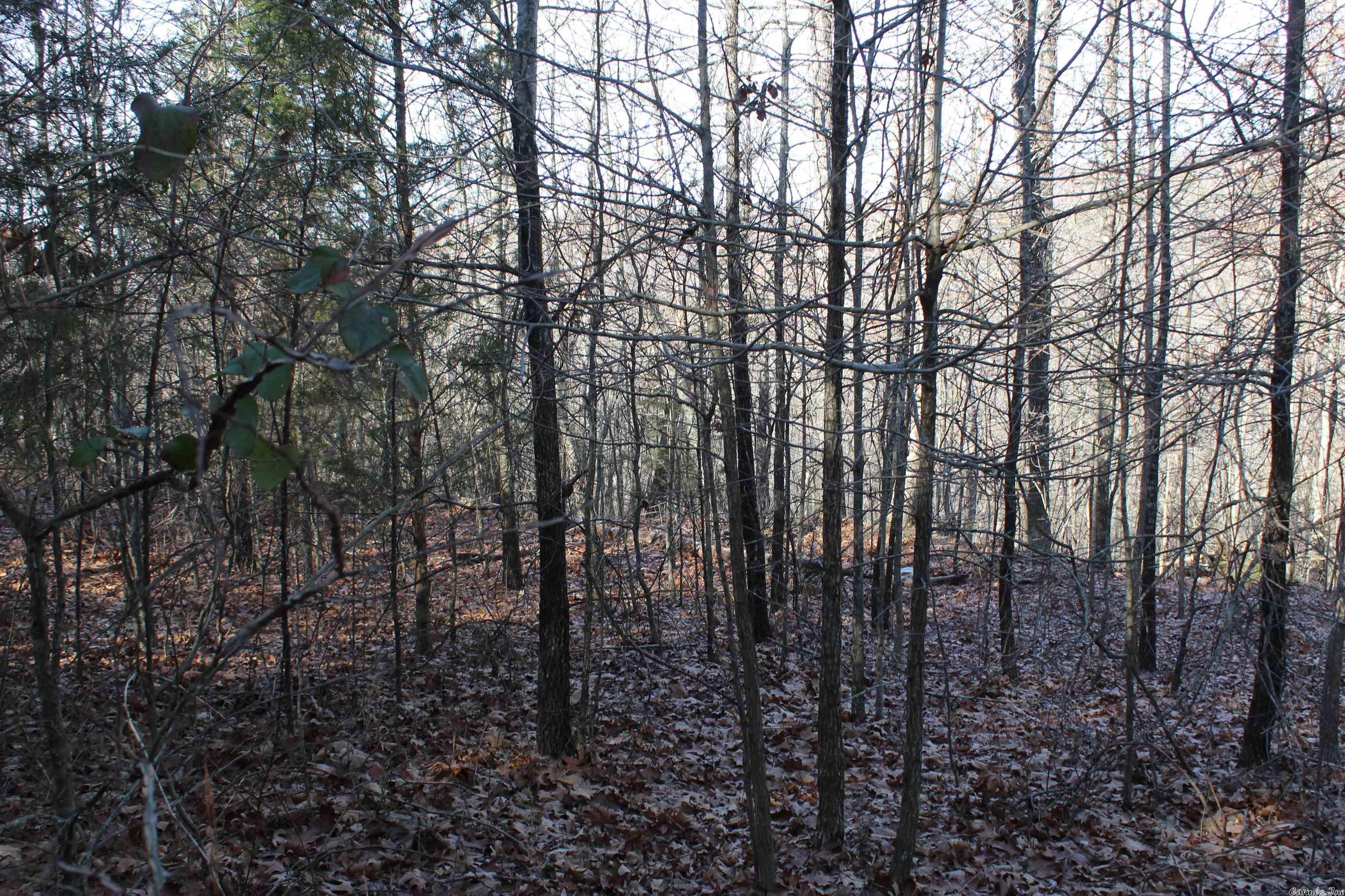 Saint Joe, Searcy County, AR Undeveloped Land for sale Property ID