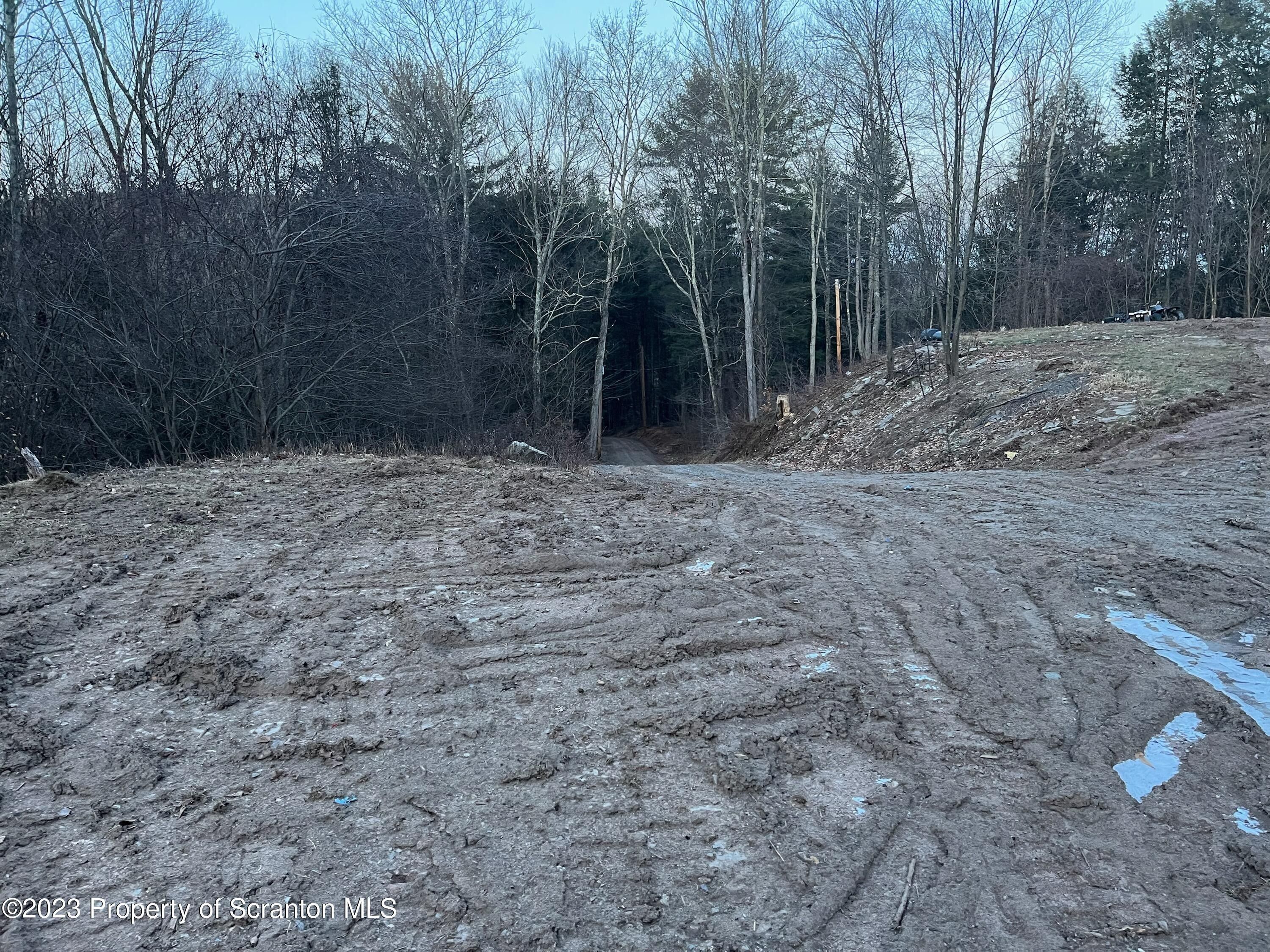 Nicholson, Susquehanna County, PA Undeveloped Land for sale Property ID