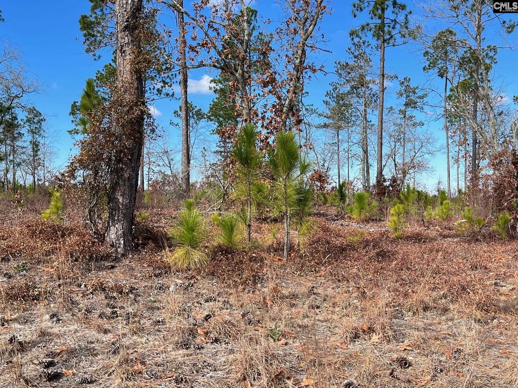 Camden, Kershaw County, SC Undeveloped Land, Homesites for sale