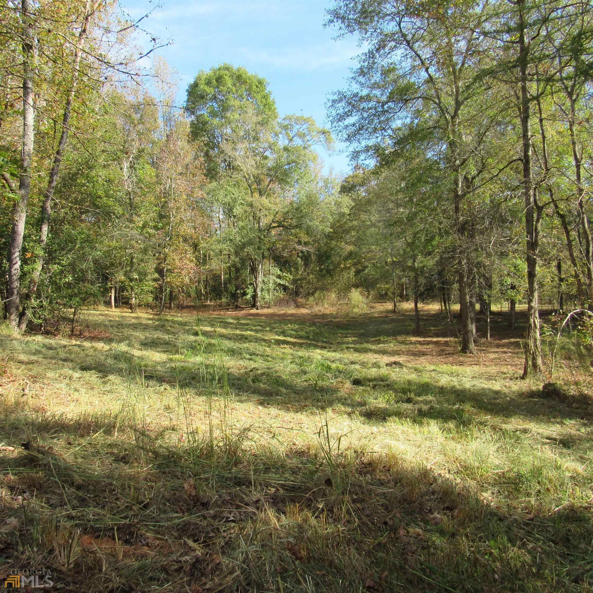Nicholson, Jackson County, GA Undeveloped Land for sale Property ID