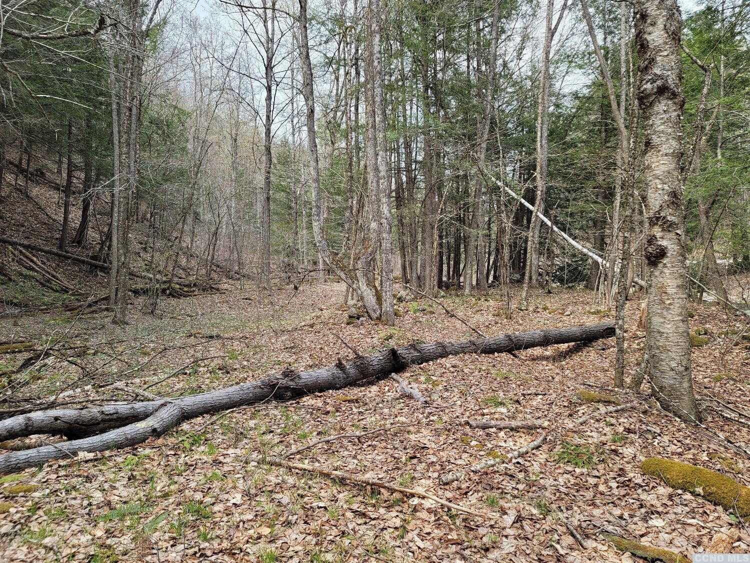 Middleburgh, Schoharie County, NY Farms and Ranches, Lakefront Property