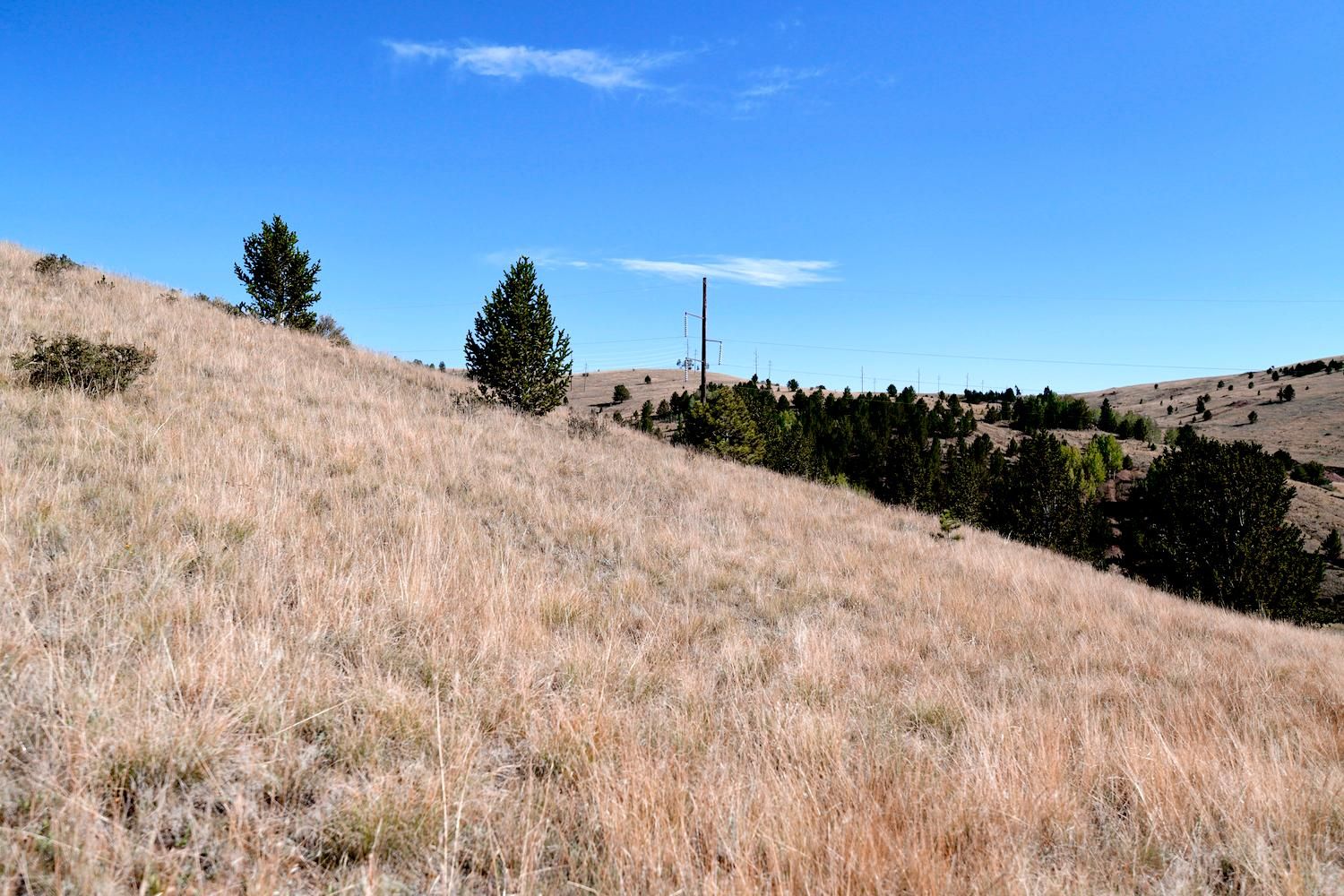 Victor, Teller County, CO Recreational Property, Undeveloped Land, Homesites for sale Property
