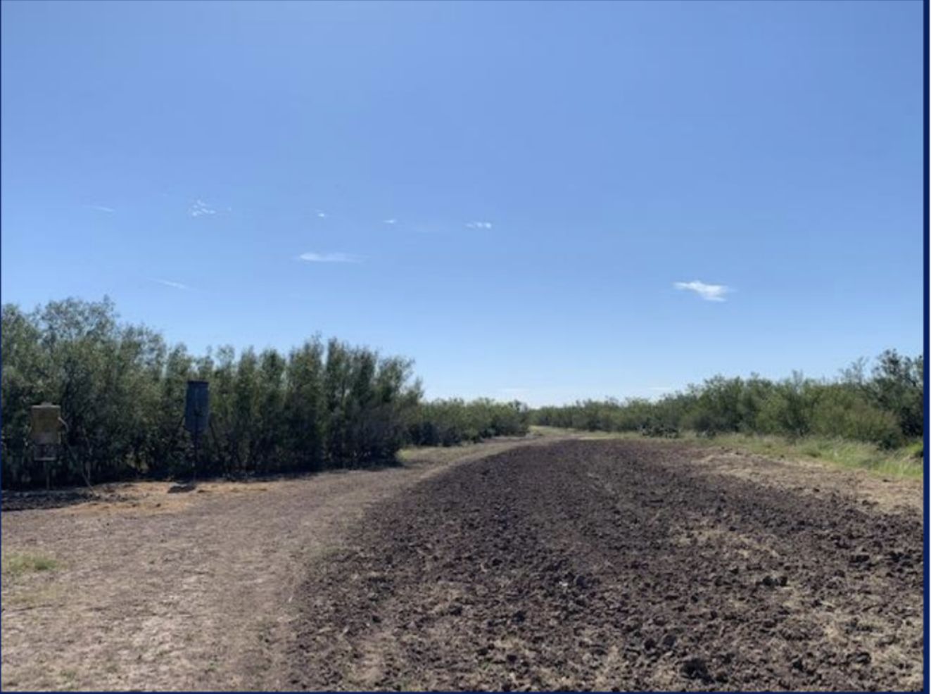 496 acres in Freer, TX, 78357 LandWatch